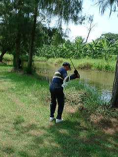golfer26.JPG